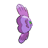 shiny (dorso)