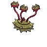 shiny (dorso)