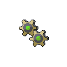 shiny (dorso)