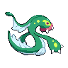 shiny (dorso)