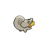 shiny (dorso)