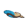 shiny (dorso)