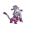 shiny (dorso)
