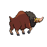 shiny (dorso)