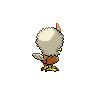 shiny (dorso)