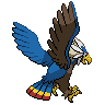 shiny (dorso)