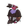 shiny (dorso)