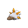 shiny (dorso)