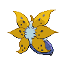 shiny (dorso)