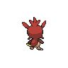 shiny (dorso)