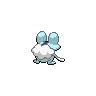 shiny (dorso)