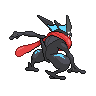 shiny (dorso)