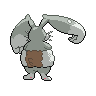 shiny (dorso)