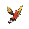 shiny (dorso)