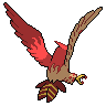 shiny (dorso)