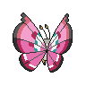 shiny (dorso)