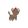 shiny (dorso)