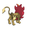 shiny (dorso)
