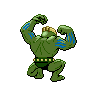 shiny (dorso)
