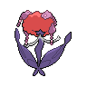 shiny (dorso)