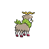 shiny (dorso)