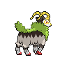 shiny (dorso)