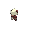shiny (dorso)