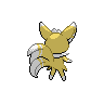 shiny (dorso)