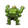 shiny (dorso)