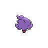 shiny (dorso)