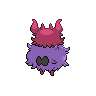 shiny (dorso)