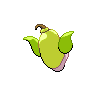 shiny (dorso)