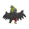shiny (dorso)