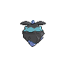 shiny (dorso)