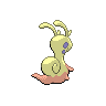 shiny (dorso)