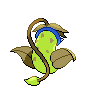 shiny (dorso)