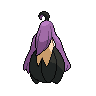 shiny (dorso)