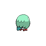 shiny (dorso)