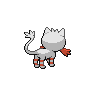 shiny (dorso)