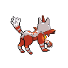 shiny (dorso)