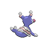 shiny (dorso)