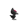 shiny (dorso)