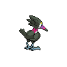 shiny (dorso)
