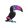 shiny (dorso)