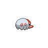 shiny (dorso)