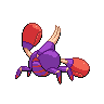 shiny (dorso)
