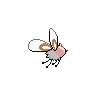 shiny (dorso)