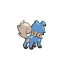 shiny (dorso)