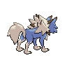 shiny (dorso)