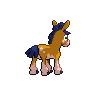 shiny (dorso)